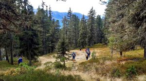 wandern-mit-wanderfuehrer