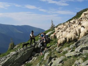 transsylvanien-wandertour-erlebnisreise-rumaenien