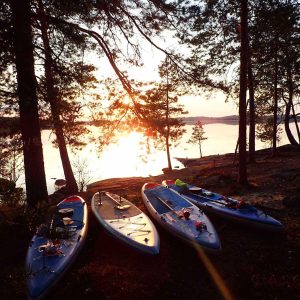 fin sup mitternachtssonne webb